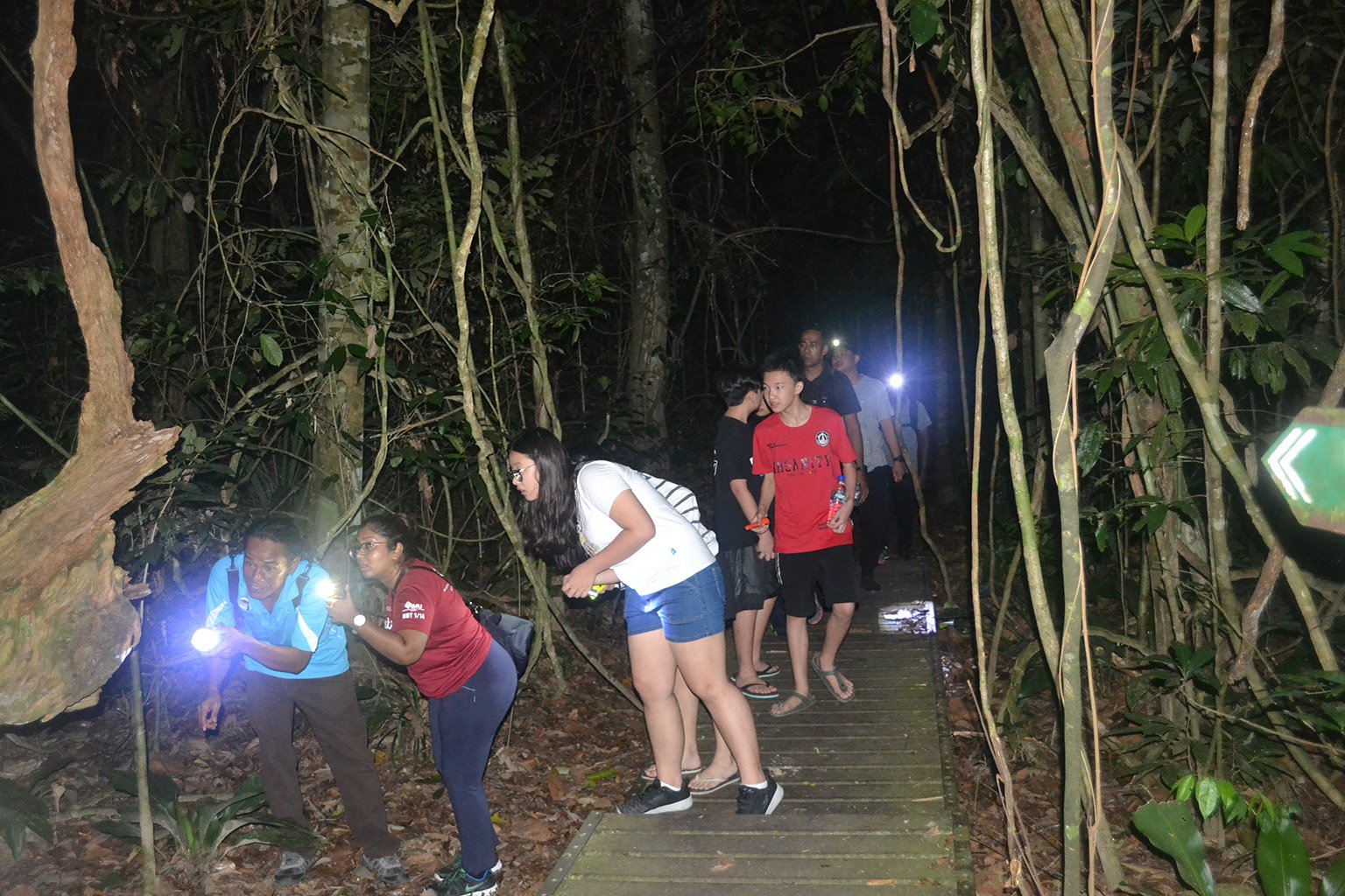 Night-Jungle-Walk-05